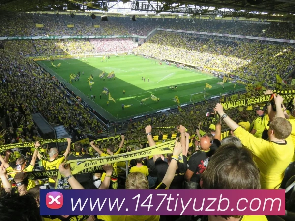 多媒体互动体验